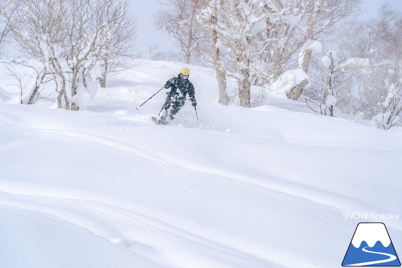 ニセコ東急グラン・ヒラフ｜積雪400cm！ニセコの『PowderSnow』を味わい尽くす、贅沢な時間♪